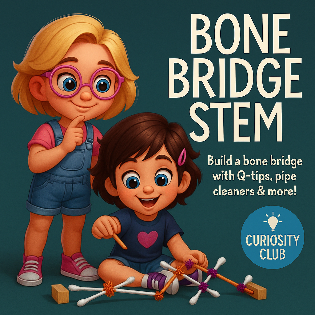 Build a Bone Bridge - Babe and Bug Curiosity Club